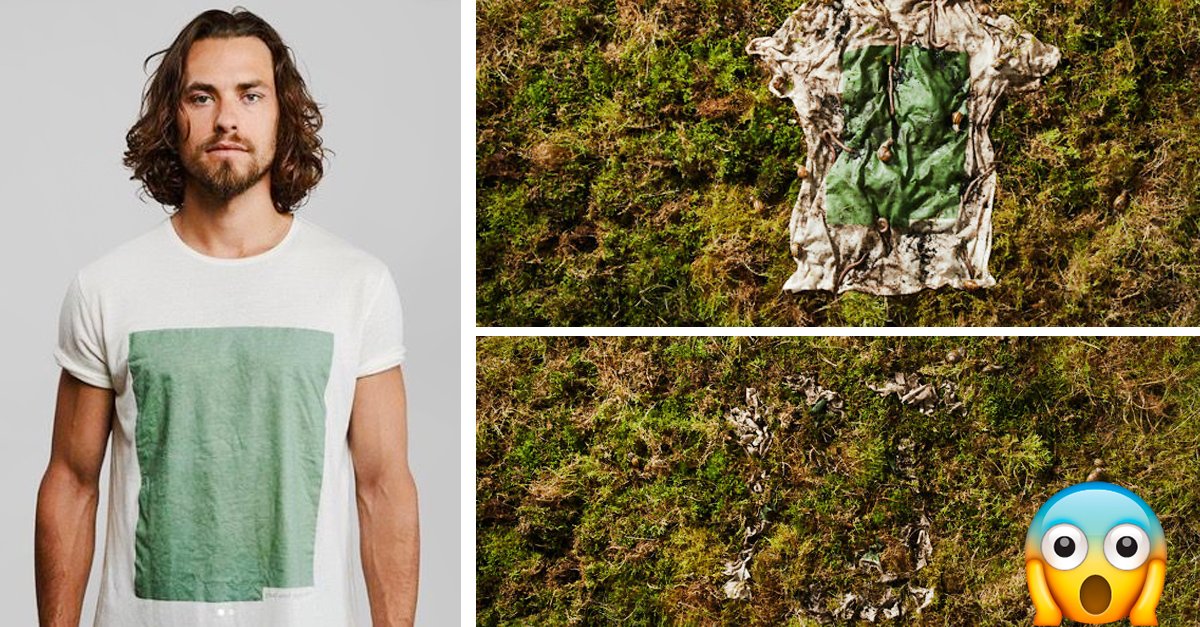 Moda9 Biodegradable Beneficios De La Moda Biodegradable – TPLD